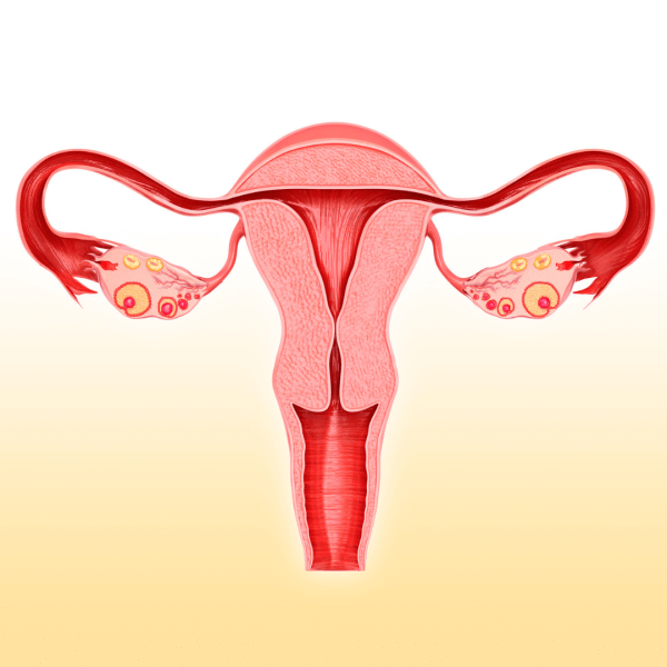 Poly Cystic Ovarian Disease (PCOD) Panel
